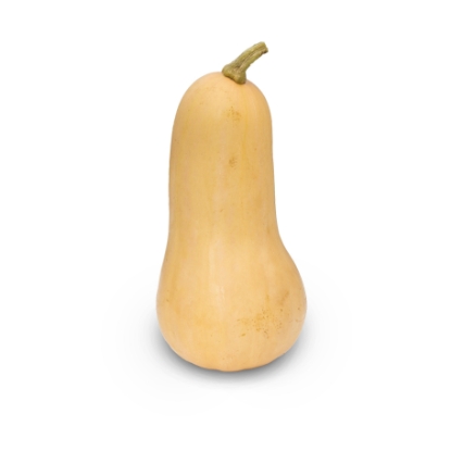 Picture of Winter Squash - Sweetmax F1